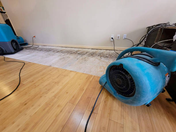 Professional Water Damage Repair technician working in Thompson, OH